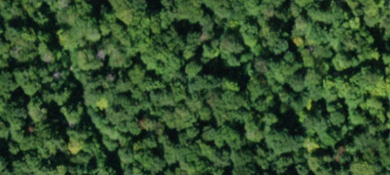 Huntley Hollow