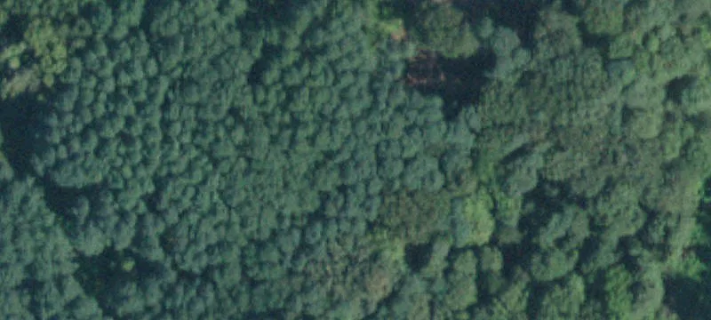 Amsterdam, NY 12010