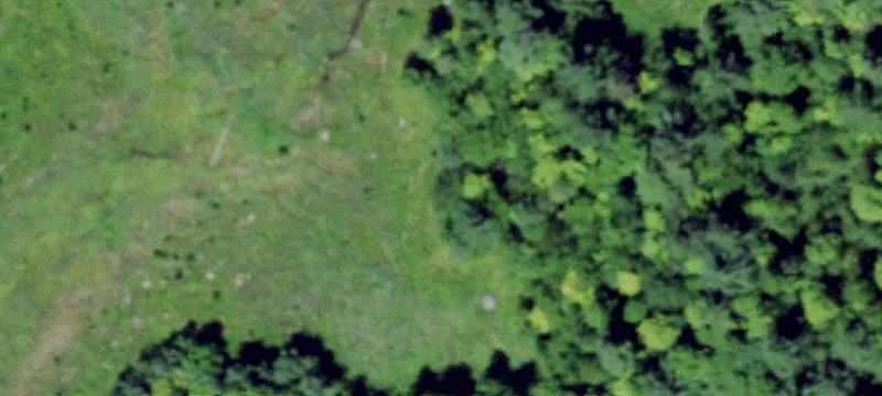 Edwards, NY 13635