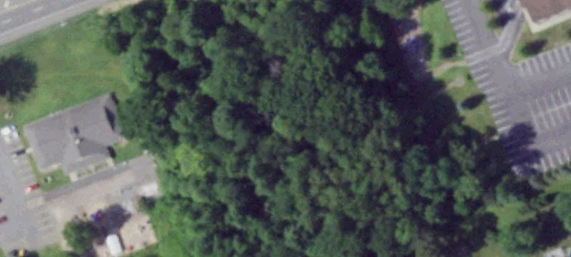 State Rte 31