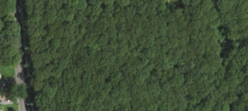 Adirondack Dr