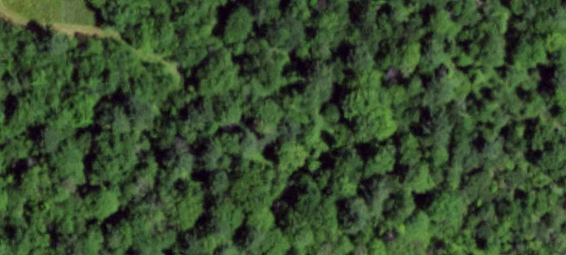 A Rogers Property