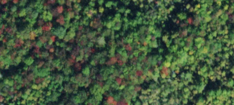 Norfolk, NY 13667