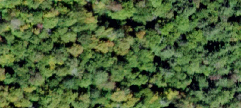 2000 Frost Vly Rd