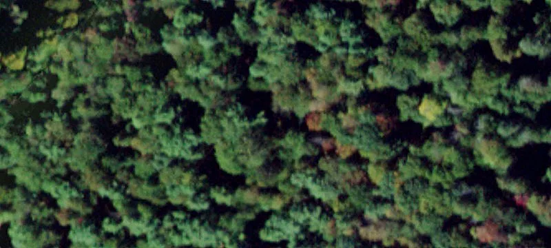 49 Kroeger Rd