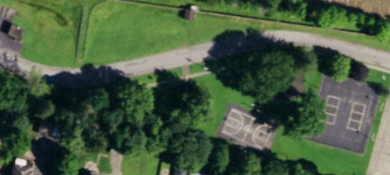 Sycamore Ave