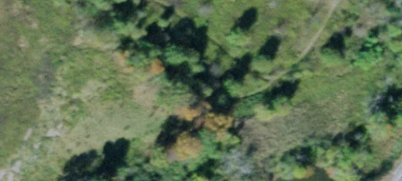 State Rte 211