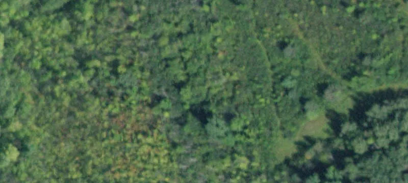 Rt 156