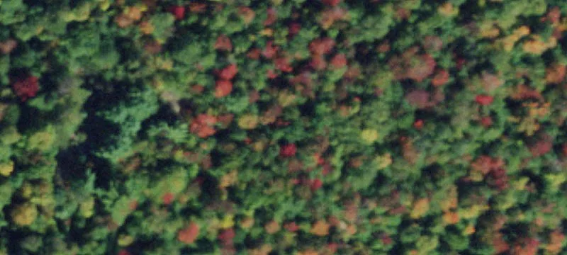 Russell, NY 13684