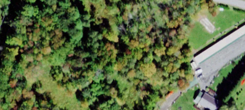 Youngs Hl Rd
