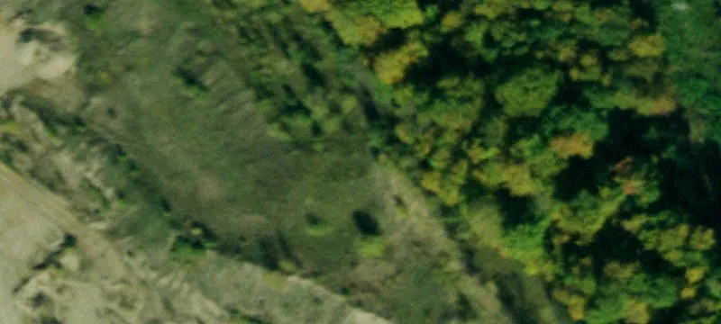 Nys Rte 16