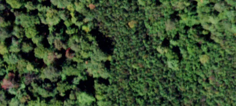 2000 Frost Vly Rd