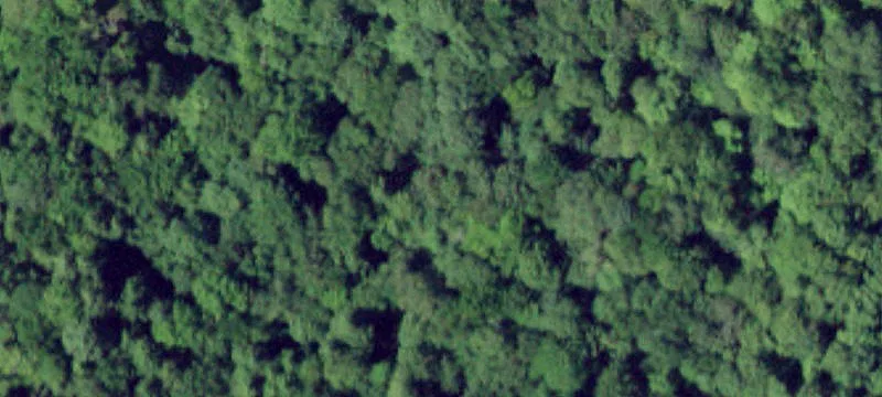 Off Rd Rd Wood