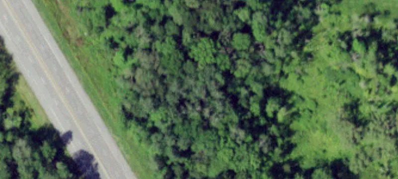 28 Ns Nys Rt 12