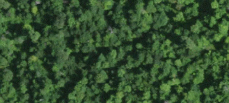 Potsdam, NY 13676