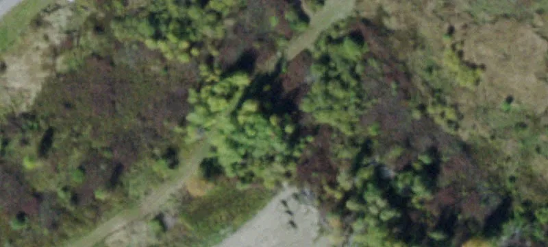 Nys Rte 12