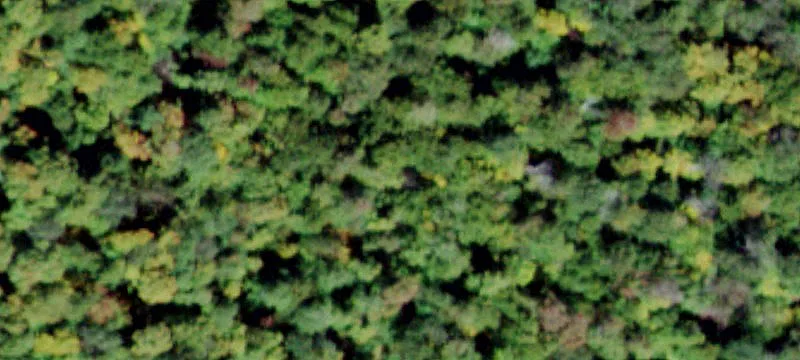 2000 Frost Vly Rd