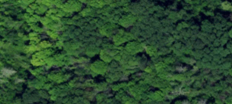 Angola, NY 14006