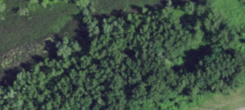 Rte 31