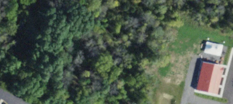 Big Tree Rd
