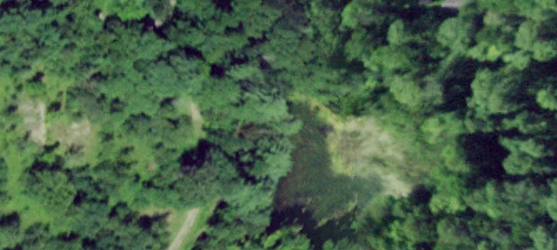 Nys Rt 8th Eo