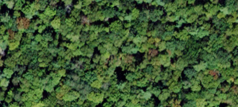 Kalin Weber Rd