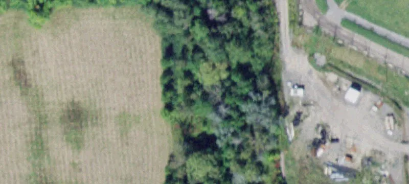 Salcman Rd