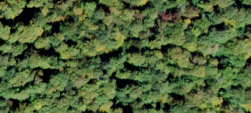 2000 Frost Vly Rd