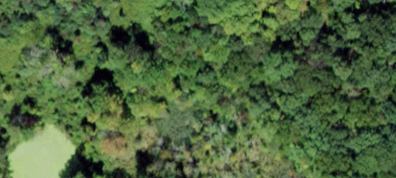 Mombasha Rd