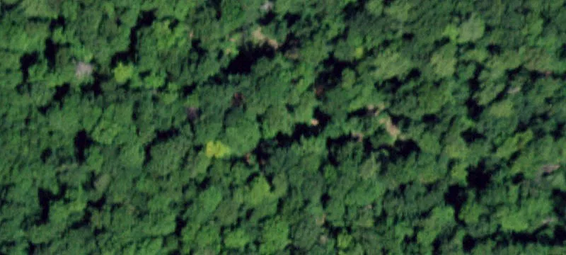 Artillery Path