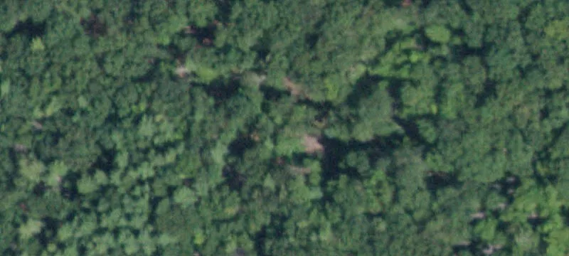 Woods Rd