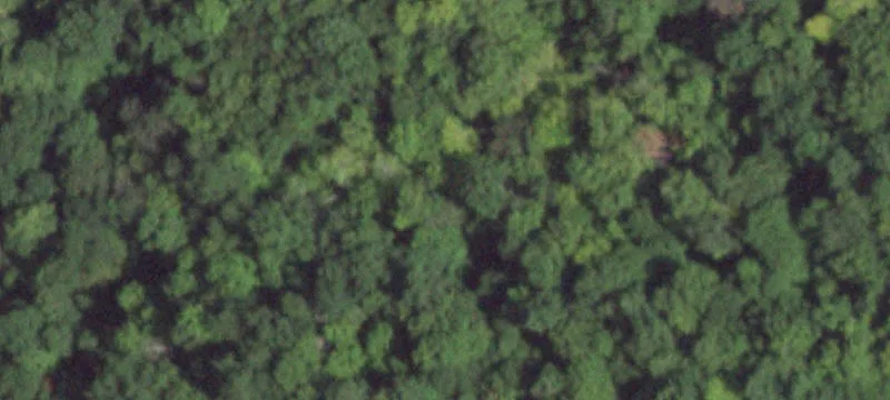 Rt 22