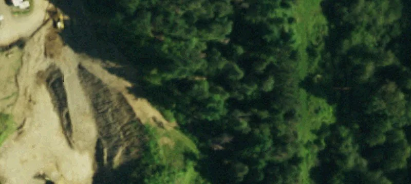 Nys Rte 242