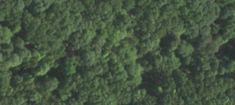 Rte 9w