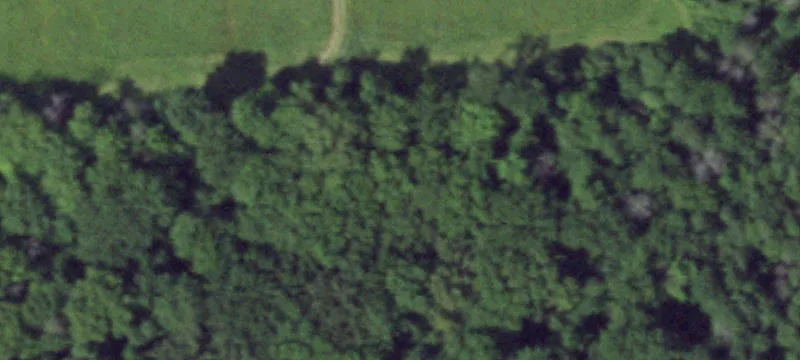 Fly Rd