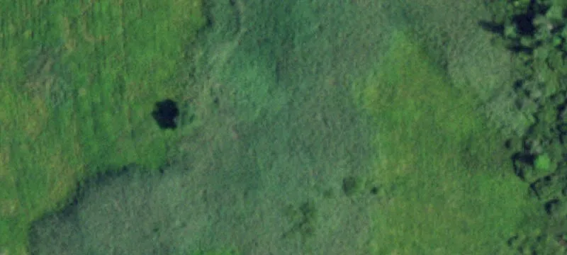 Mooers, NY 12958
