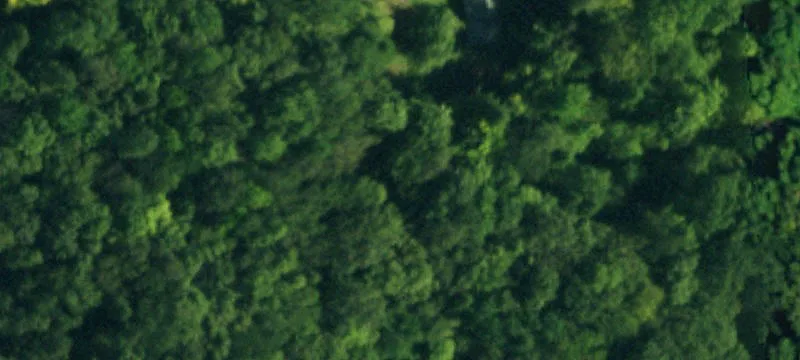 14th Hemlock Loop