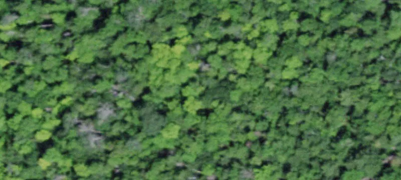 Indian Lake, NY 12842