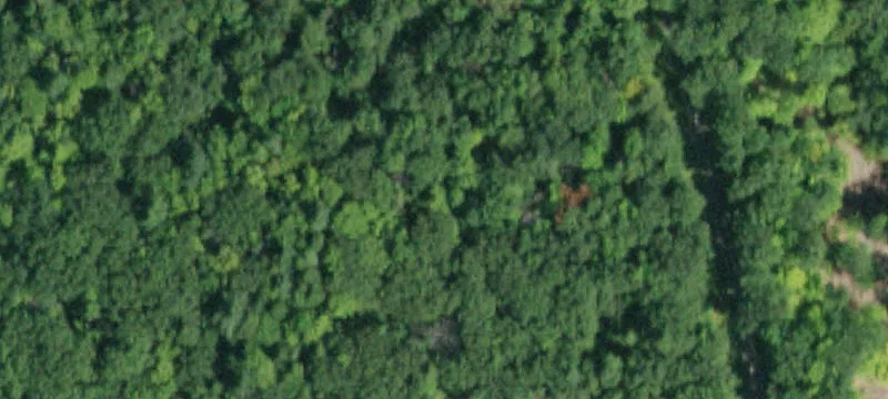 Voorheesville, NY 12186