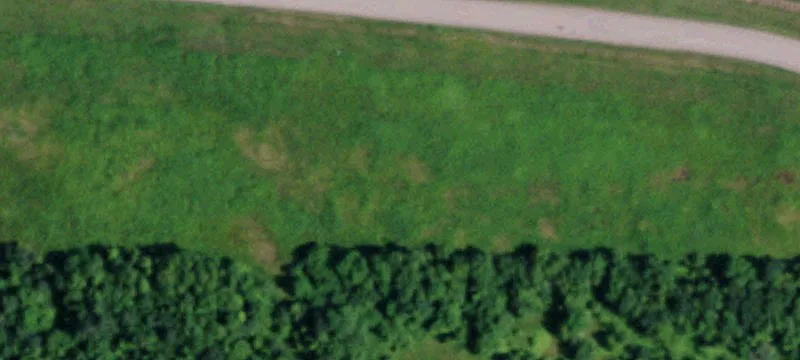 Tarantine Rd