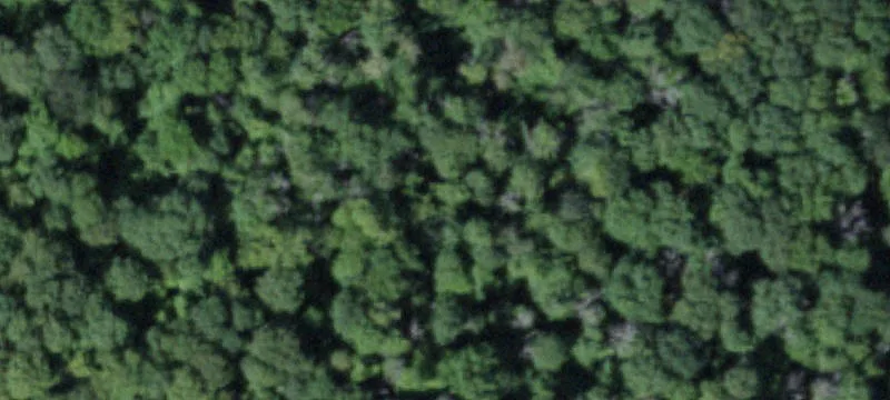 Hamilton, NY 13346
