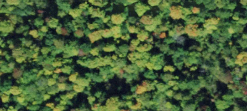 Hermon, NY 13652