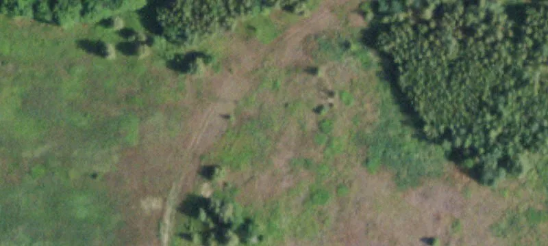 Cannon Cors Rd