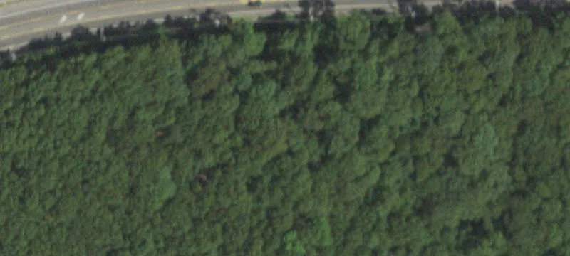 Middle Country Rd
