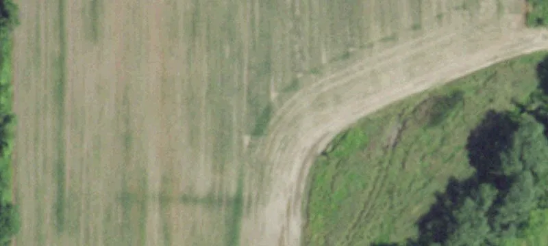 Dibacco Property