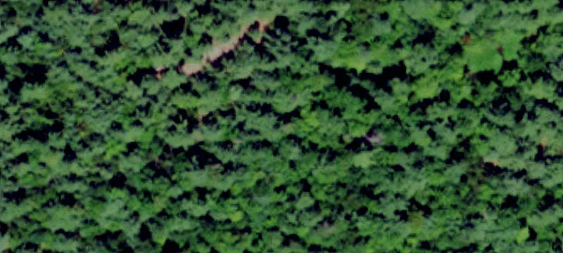 Gouverneur, NY 13642