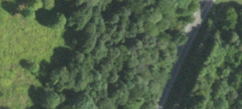 Rte 9w