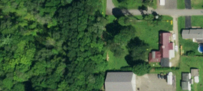 Maple St