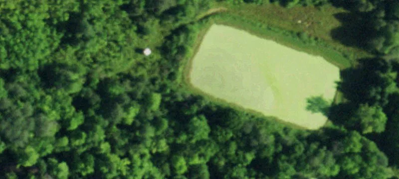 Wellman Rd