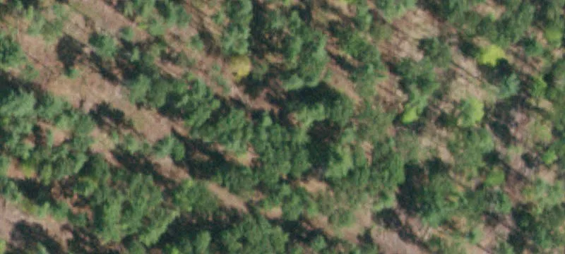 Sand Hl Rd